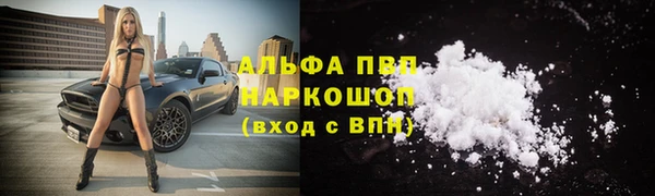 сатива Абаза