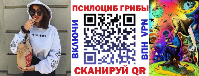 купить  цена  Александров  Псилоцибиновые грибы Cubensis 
